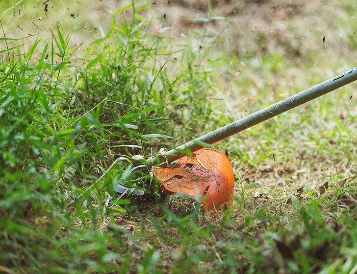 Blade or nylon line.